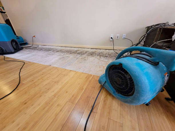 Reliable Flood Damage Restoration contractor in Henrietta, MO by Hirex Water Damage