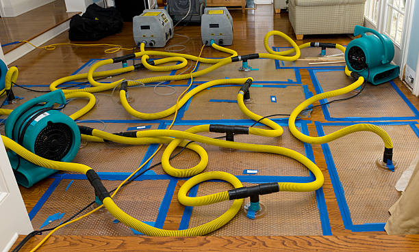 Professional Flood Damage Restoration technician working in Henrietta, MO